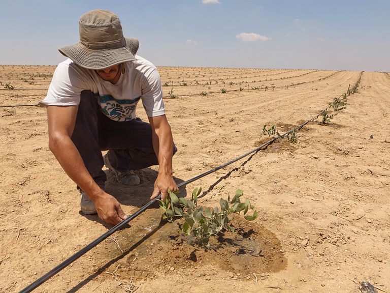 Un homme vérifie un système d’irrigation